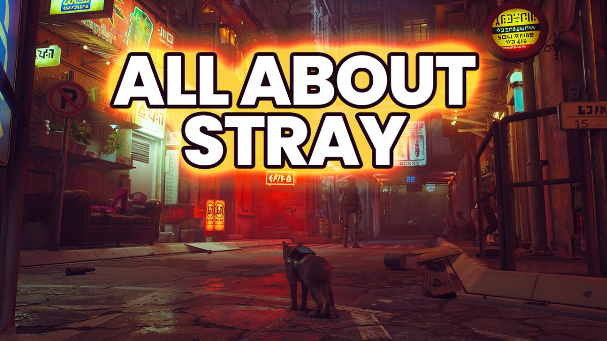 About STRAY, the cat game
