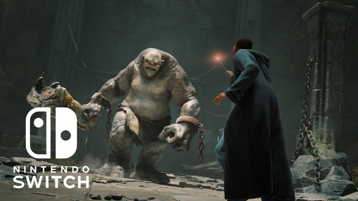 Nintendo Switch Hogwarts Legacy